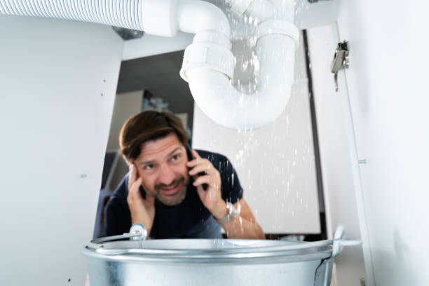 Best Drain Cleaning Services  in Larch Y, WA